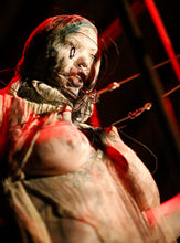 Load image into Gallery viewer, Blood Magick Course Series (Online)