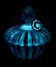 Load image into Gallery viewer, Ctenophora Bioluminescent Bowl