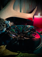 Load image into Gallery viewer, Buer Bowl