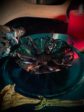 Load image into Gallery viewer, Buer Bowl