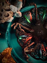 Load image into Gallery viewer, Buer Bowl